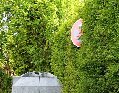 So bitte nicht: Ein Verkehrsschild "verschwindet" in der Hecke. 