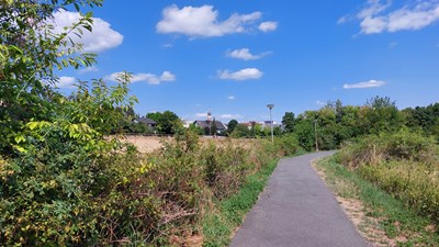 An der Bieberaue (Foto: R. Dinkelborg/Magistrat)