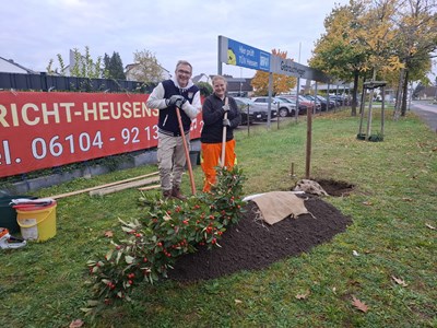 Bürgermeister Steffen Ball hat die Baumpflanz-Challenge angenommen und mit Unterstützung der Stadtgrün-Mitarbeiterin Angela Menzel den Apfeldorn gepflanzt.