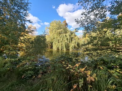 Einer der beiden Schlossweiher in der Schlossallee.