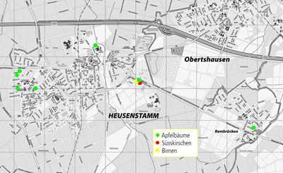 Übersicht: Städtische Obstbäume