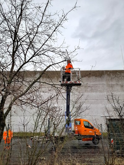 Die städtischen Baumkontrolleure bei der Arbeit: Baumpflege das ganze Jahr über.