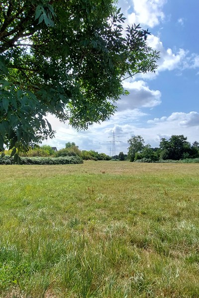 Hochspannungsleitungen in der Heusenstammer Bieberaue. 
