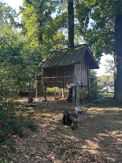 Das Baumhaus im Sommerfeld.