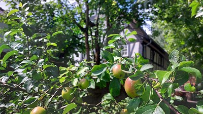 Altstadthaus mit Garten.