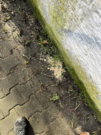 Pulver auf dem Feldweg (Foto: PPO Südosthessen)