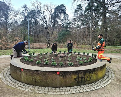 Bürgermeister Steffen Ball (l.), Fachdienstleiterin Integration, Familie & Senioren Jasmin Heine (2.v.l.) und das Gärtner-Team des städtischen Bauhofs beim Einsetzen der Vergissmeinnicht-Pflanzen im Rondell in der Forstallee.