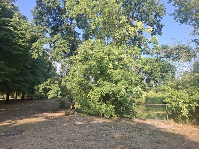 Blick auf den nördlichen Schlossweiher.