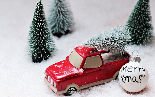 Weihnachtsbaumverkauf: Den selbst gesägten Weihnachtsbaum direkt mit dem eigenen Pkw abtransportieren (Foto: S. Hermann/F. Richter auf pixabay).