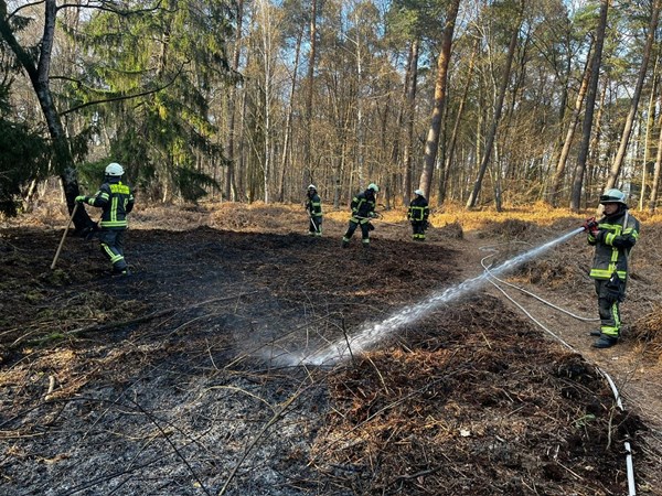 Brand im Stadtwald.