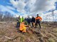 Alle 15 gespendeten Mammutbäume sind an ihrem neuen Standort im Heusenstammer Wald eingepflanzt. V.l.: Dietmar Tinat, Christoph Jonas, Mario Baldera, Bürgermeister Steffen Ball, Wolfgang Stirnberg, Michael Kobras, Tobias Alles (vorne).